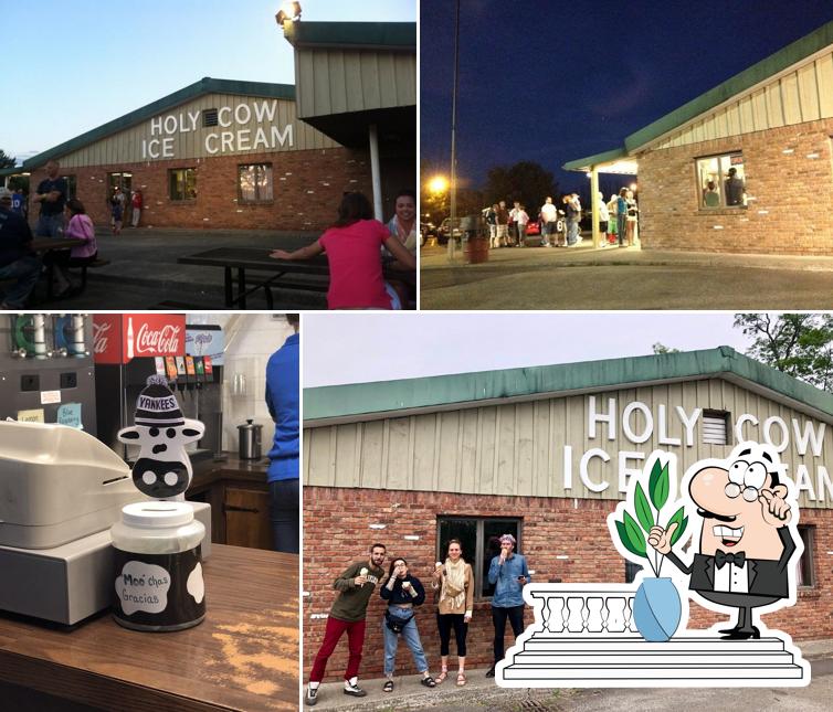 Holy Cow