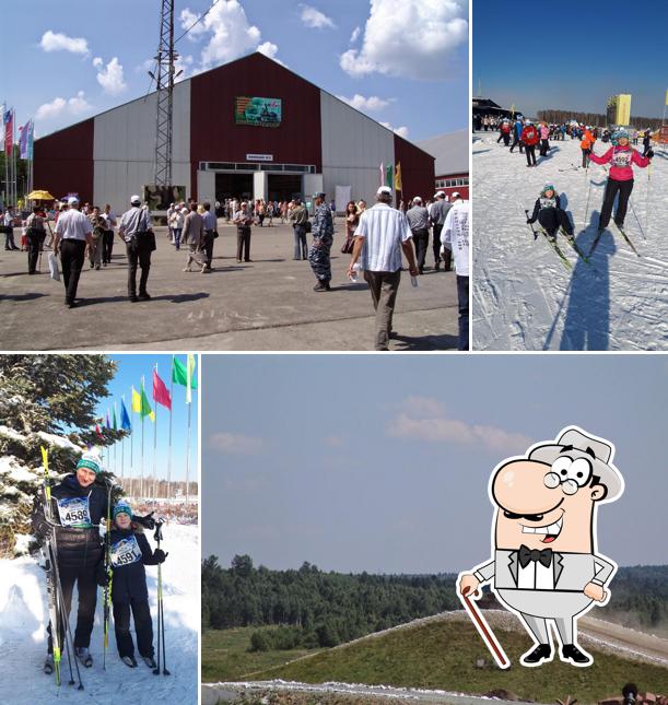 Старатель