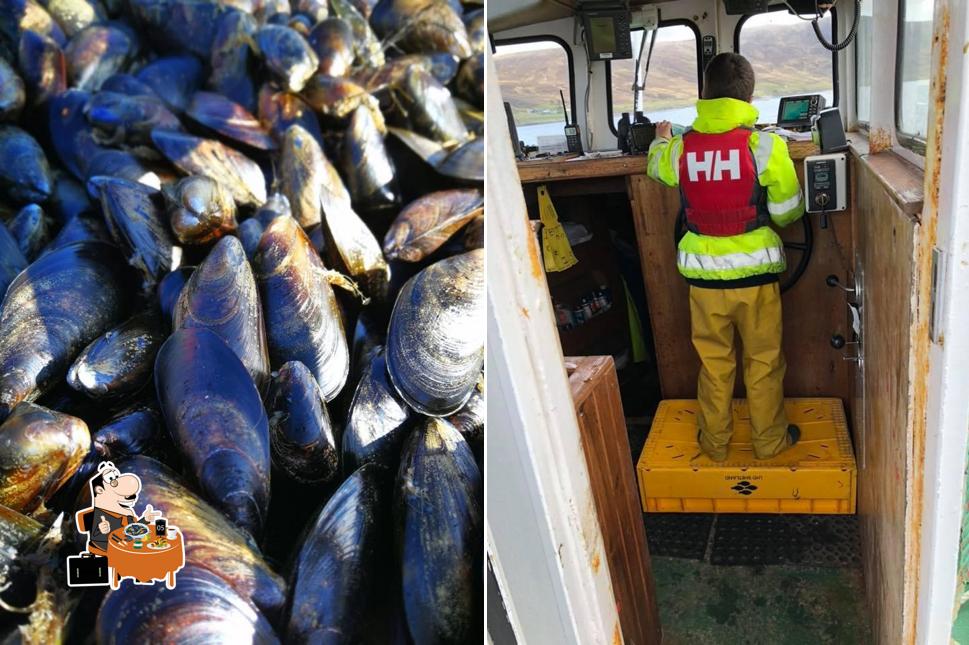 Blueshell Mussels