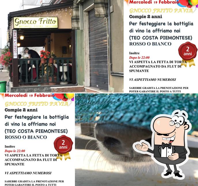 Gnocco Fritto Pavia