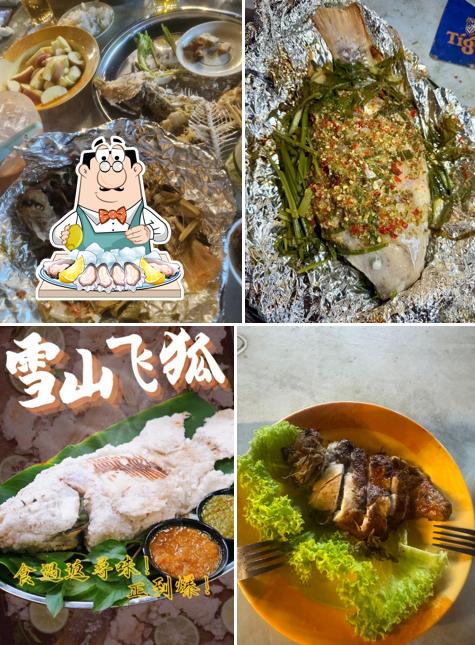 Sawaddee 飞狐