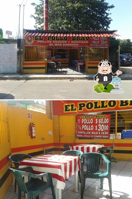 El Pollo Bravo
