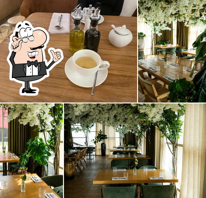 Посмотрите на внутренний интерьер "Боны Капона"