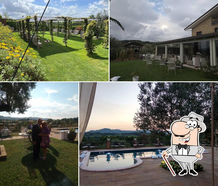 Tenuta Colle Rajano