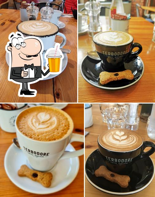 Terbodore Coffee Roasters Howick