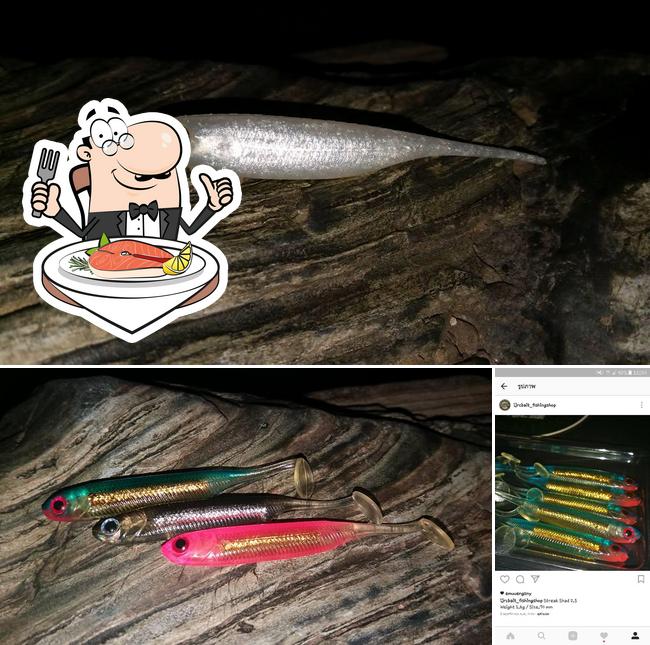 ijrc bait