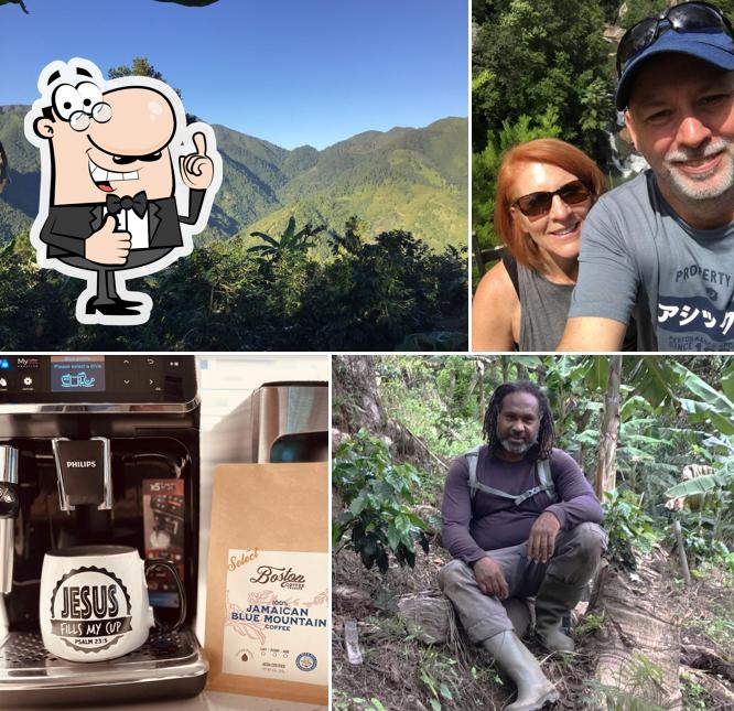 Boston Coffee Traders