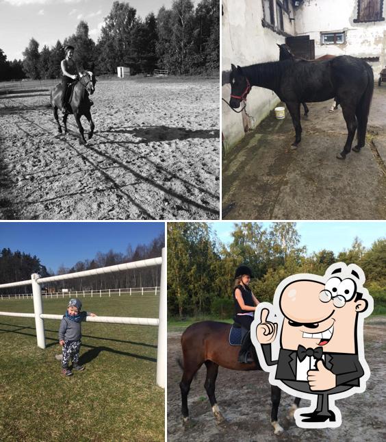 Dworek GROF Bojszowy