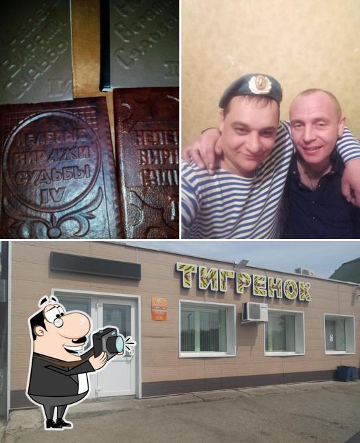 Тигрёнок
