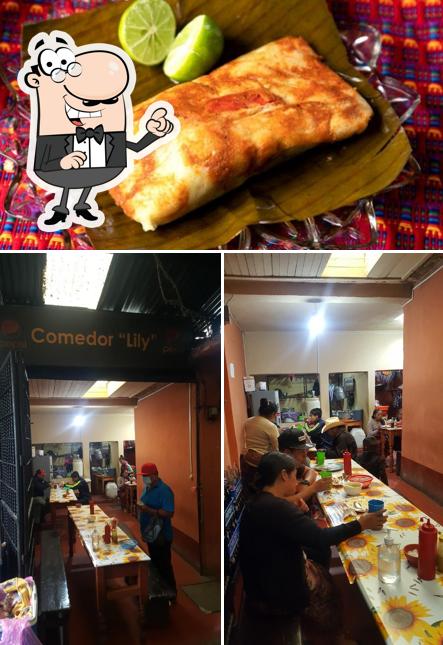Comedor "Lily"