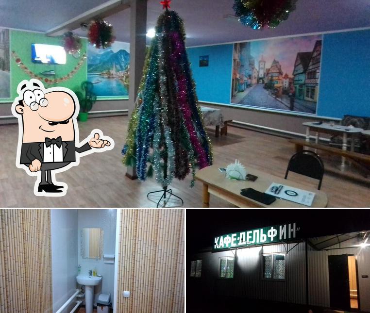 Дельфин