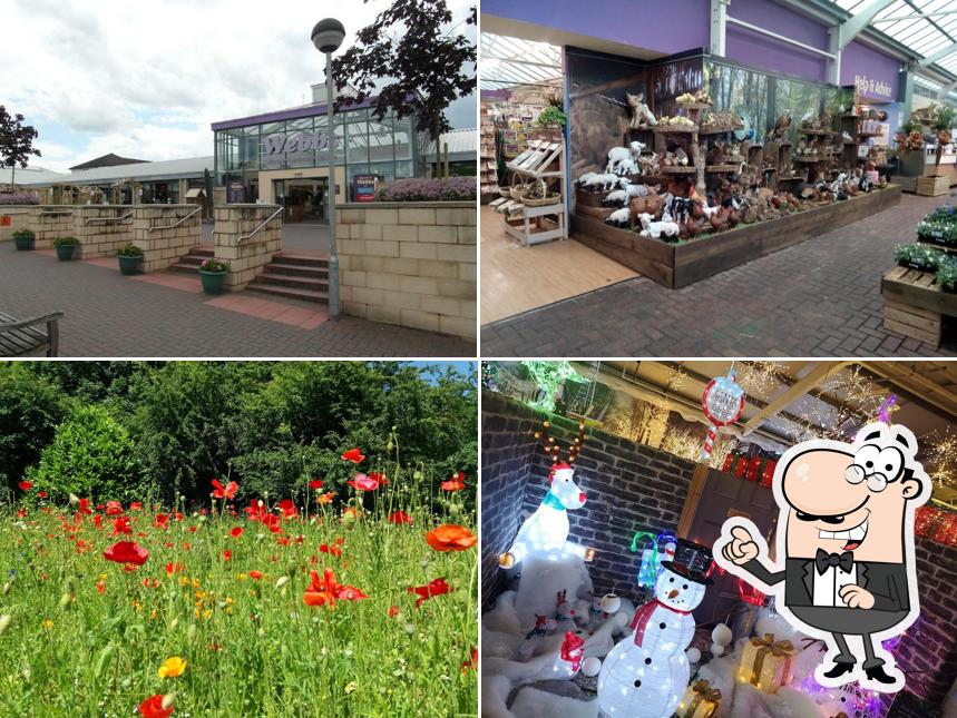 Webbs Garden Centre