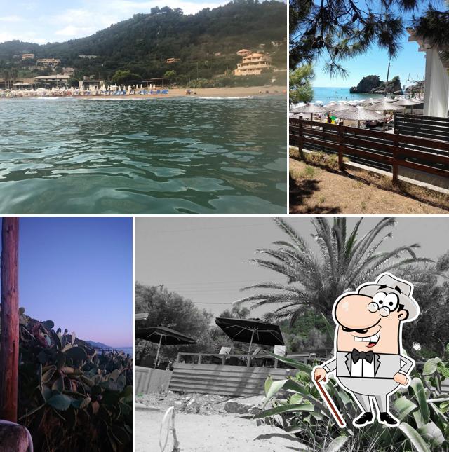 Bodega Beach Bar