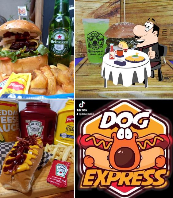 DOG EXPRESS
