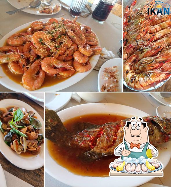 IKAN DAMPA