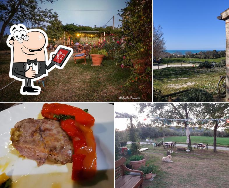 Adagio Ristorante Agriturismo - tra Fano e Pesaro