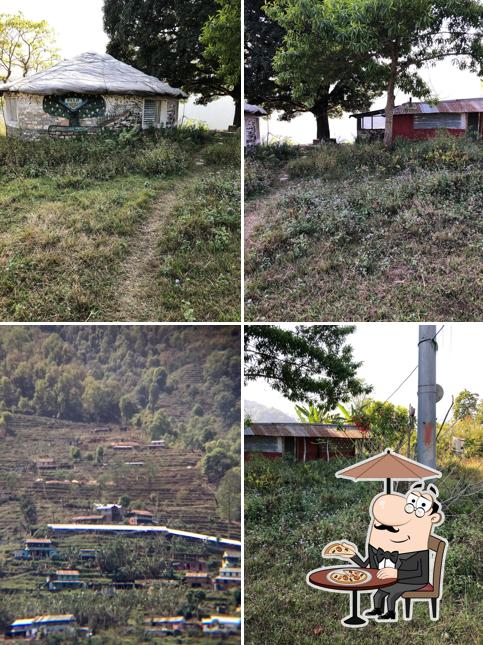 Mango Tree Adventure & Permaculture Centre