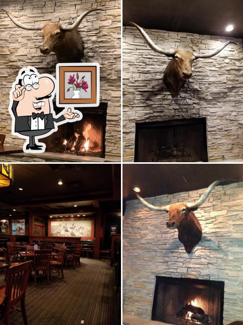 Texas Land & Cattle