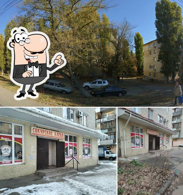 Сокурские хлеба