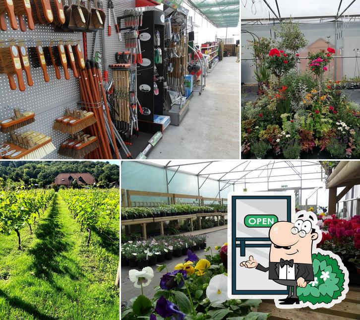 The Fifth Trust Vineyard Garden Centre