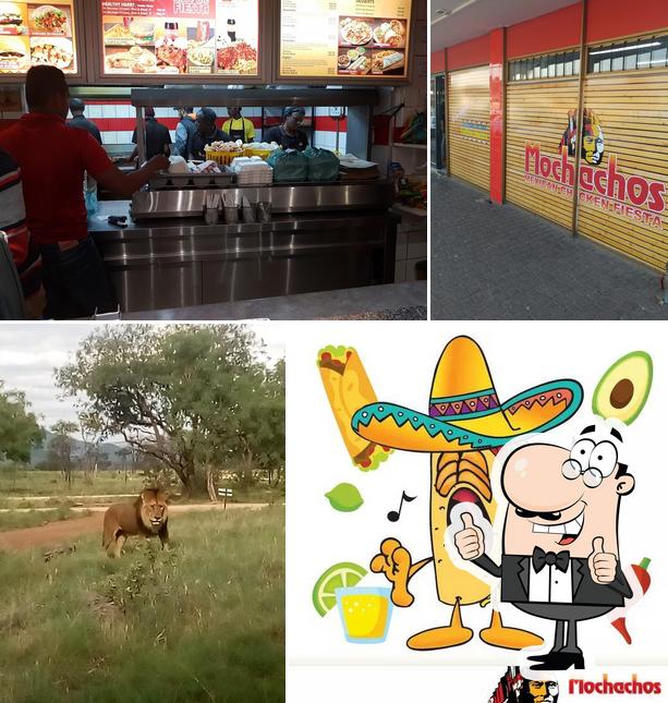 Mochachos Chicken Fiesta