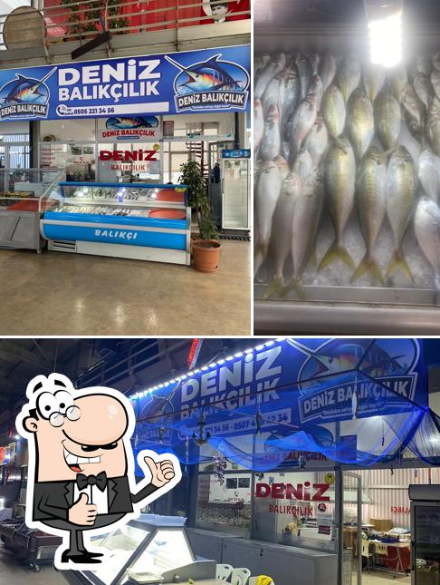 Deniz Balıkçılık