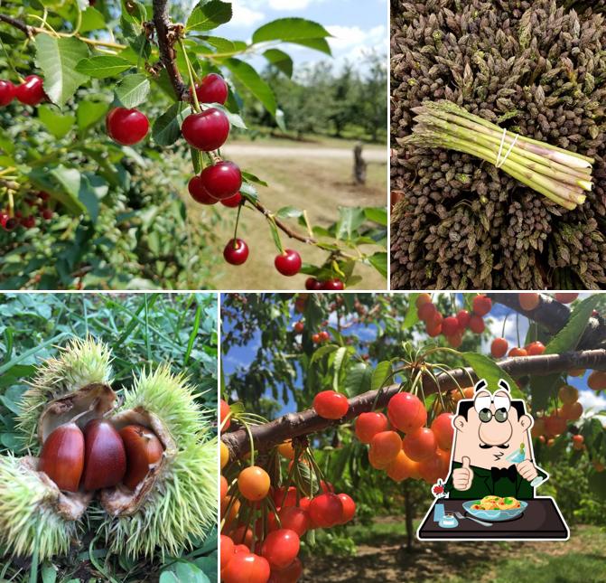 Samascott Orchards