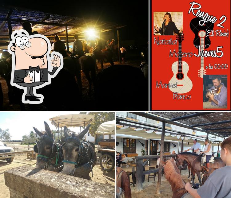 Cervecería El Rengue II