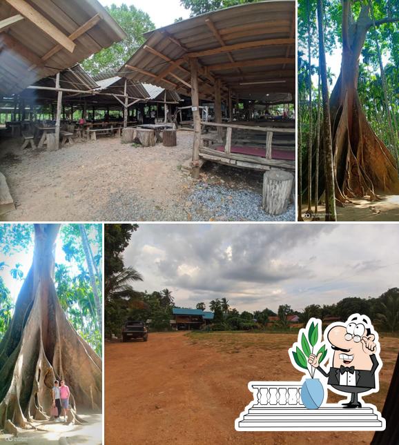 บ้านหัวล้าน หมูกระทะบุฟเฟ่