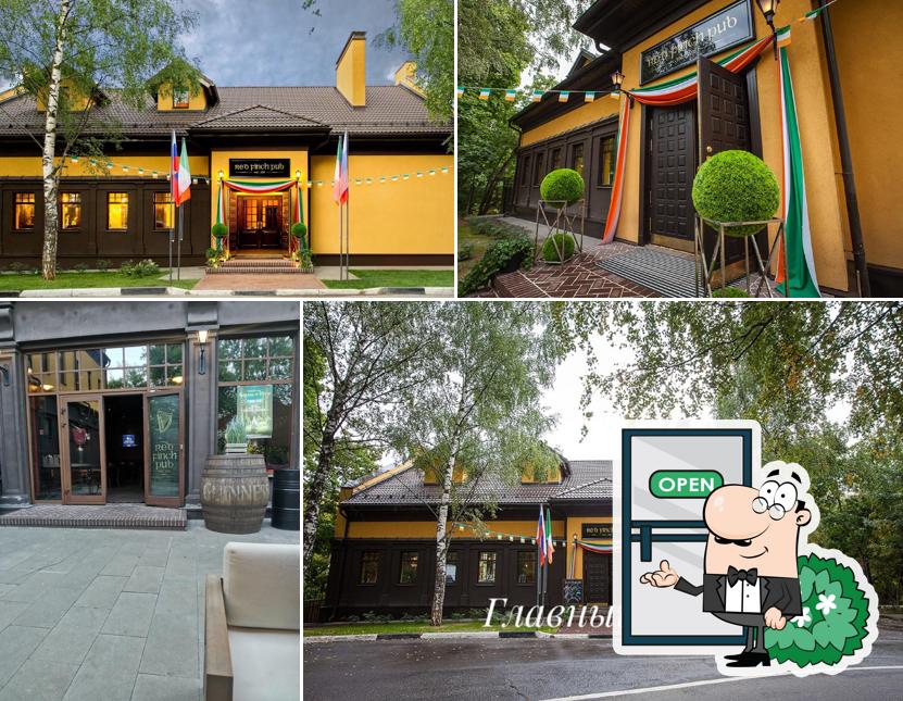 Рэд Финч Паб