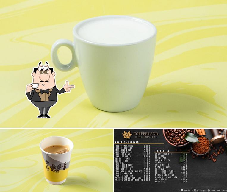Coffee Land Roasters