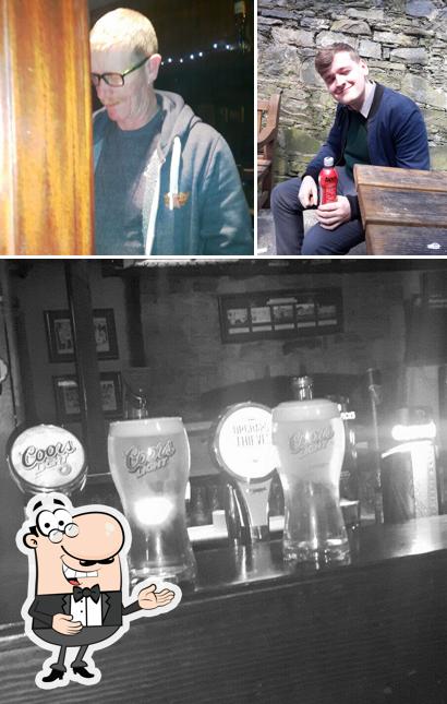 The Fiddle Head