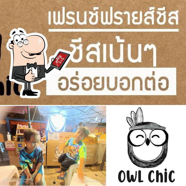 Owl Chic