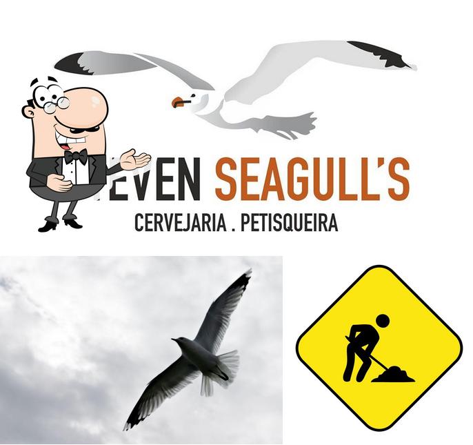 Steven Seagull's