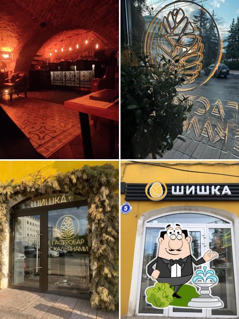 Шишка