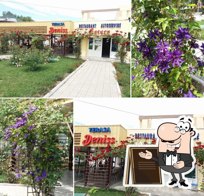 Terasa Deniss Mangalia