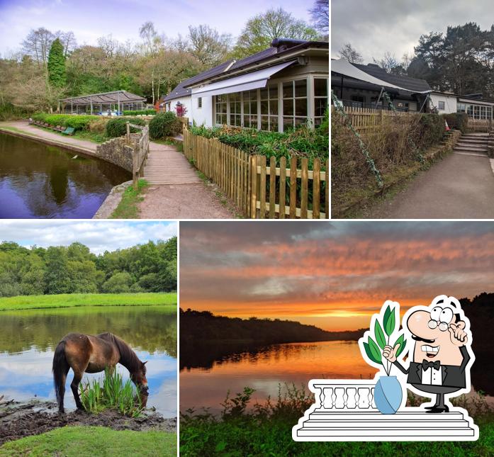 The Bracebridge