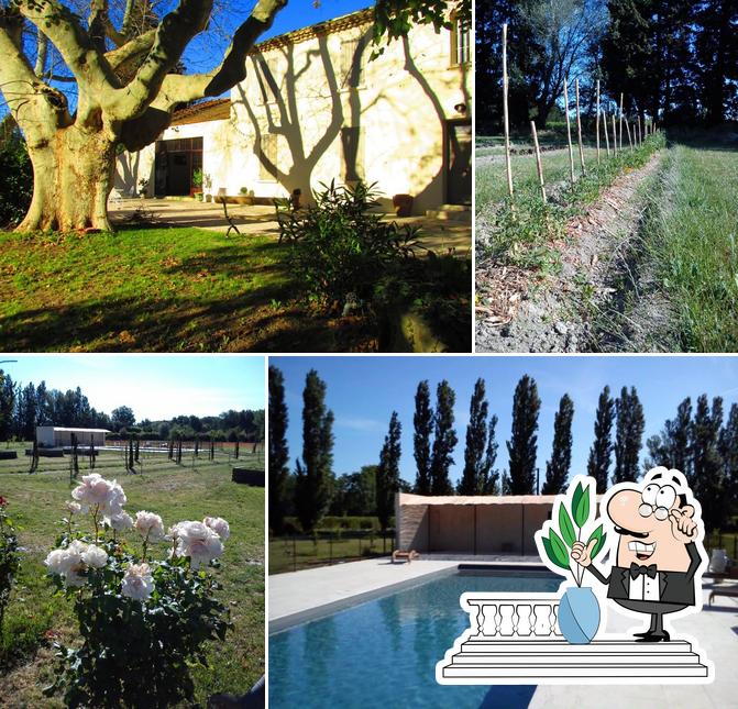 Domaine de Rochegude, L' Orangerie