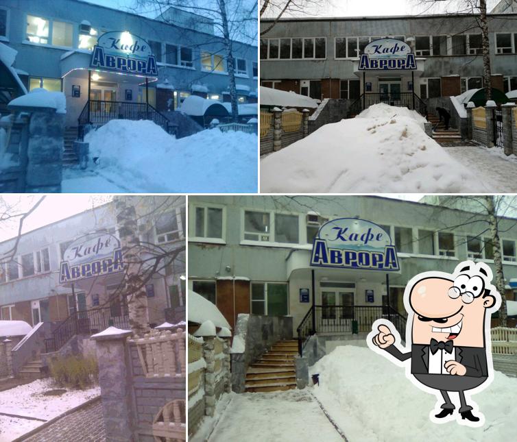 Внешнее оформление "Авроры"