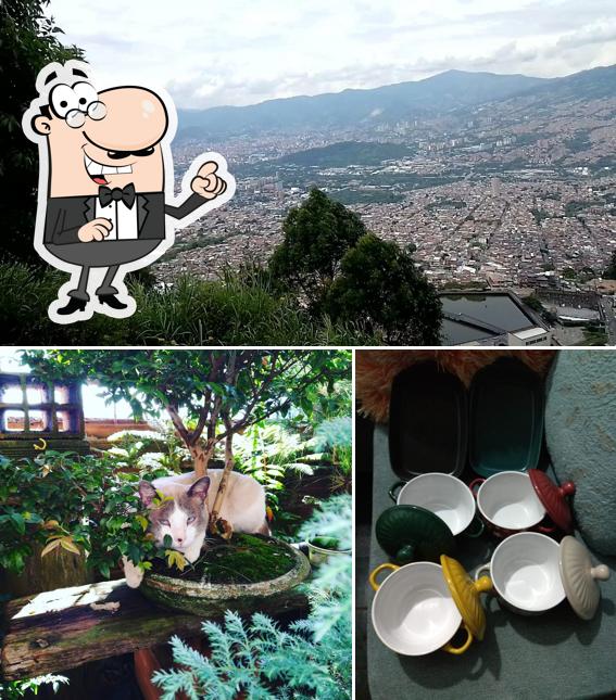 Bello oriente