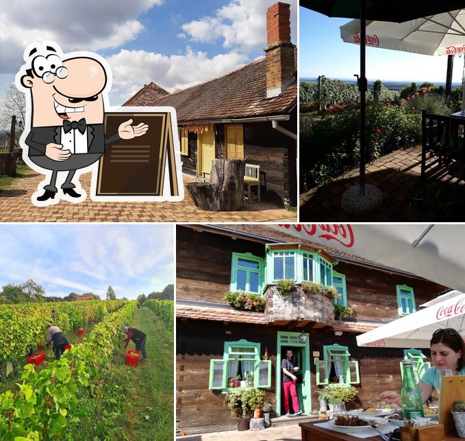 Winery & Restaurant August