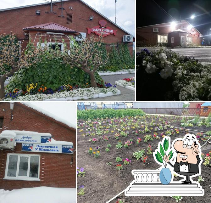 У Шмаковых