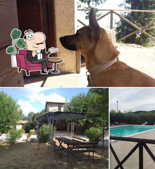 Посмотрите на внутренний интерьер "Agriturismo Il Cicaleto Cannara"