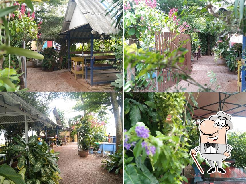 ร้านส้มตำป่ายางสะเดา
