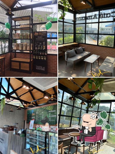 Café Amazon MWD 3
