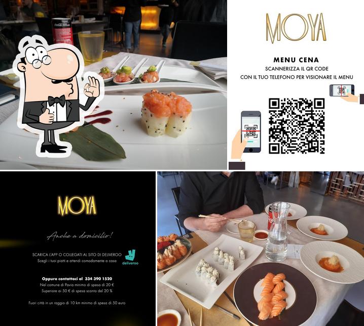 Moya Restaurant Pavia