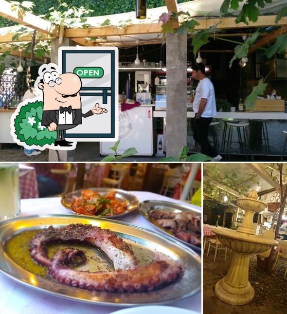 AMADA Taverna