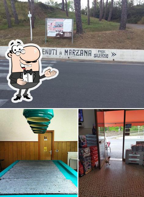 Bar Arzilli