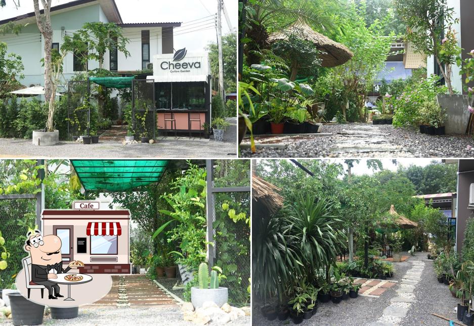 Cheewa Cafe