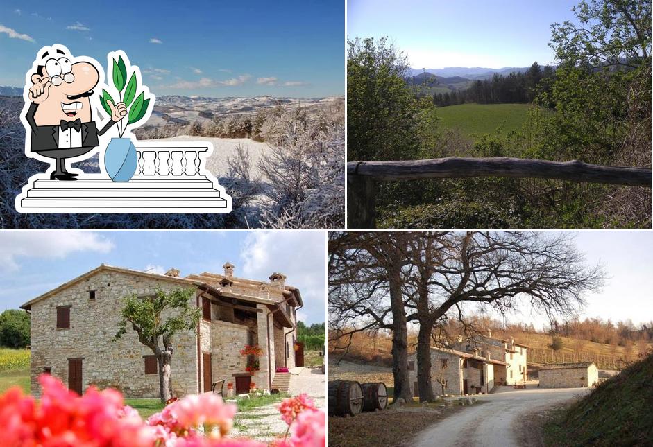 Agriturismo Ca' Verdeselle